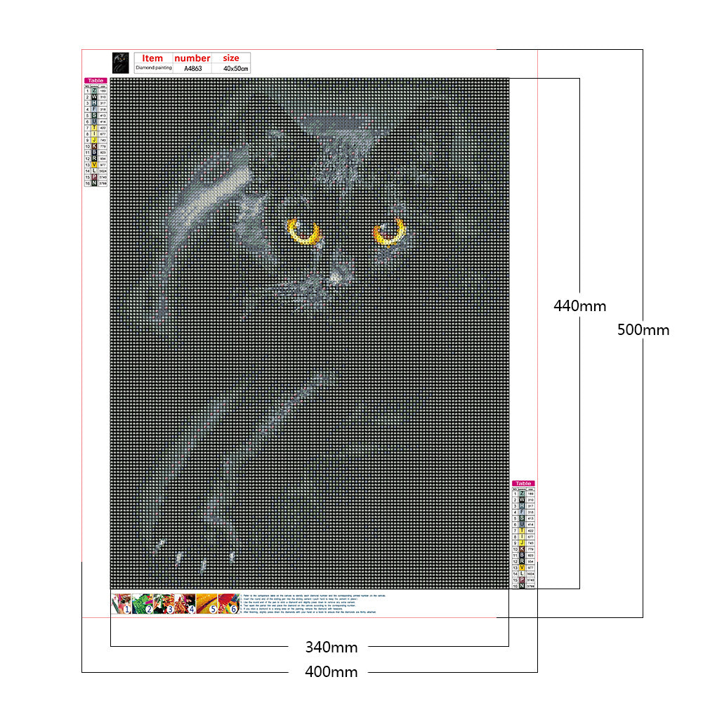 Black Cat - Full Round Drill Diamond Painting 40*50CM