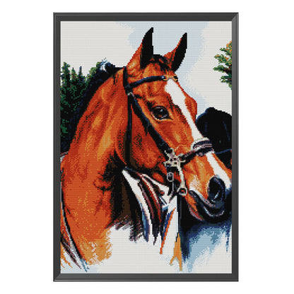 Thoroughbred - 14CT Stamped Cross Stitch 35*50CM(Joy Sunday)