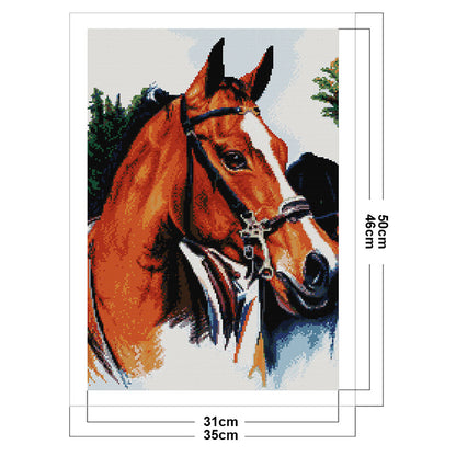 Thoroughbred - 14CT Stamped Cross Stitch 35*50CM(Joy Sunday)