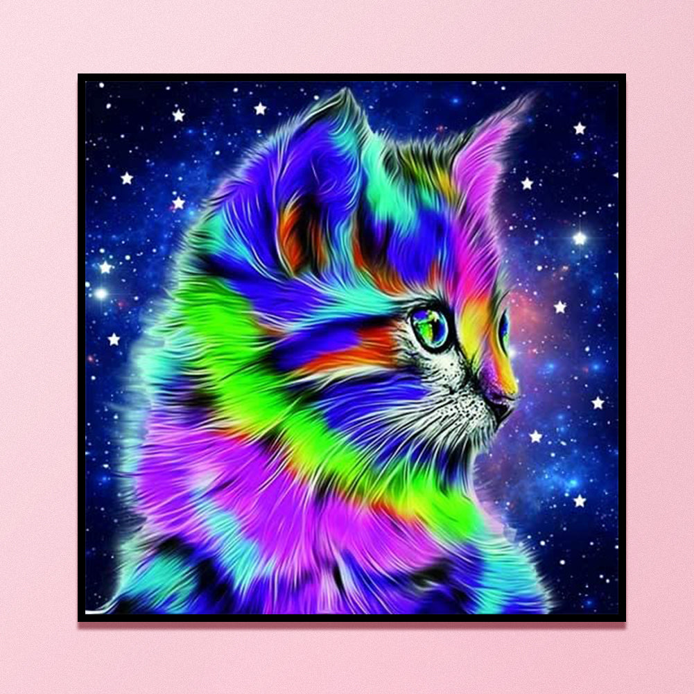 Star Color Cat - 11CT Counted Cross Stitch 40*40CM