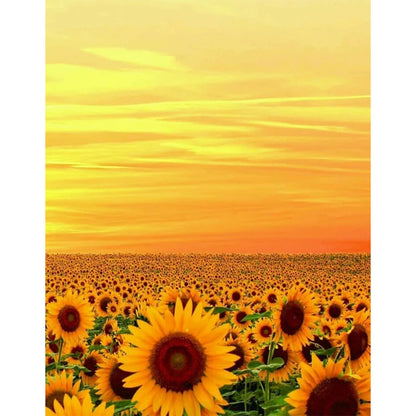 Sunflower - 11CT Counted Cross Stitch 36*46CM