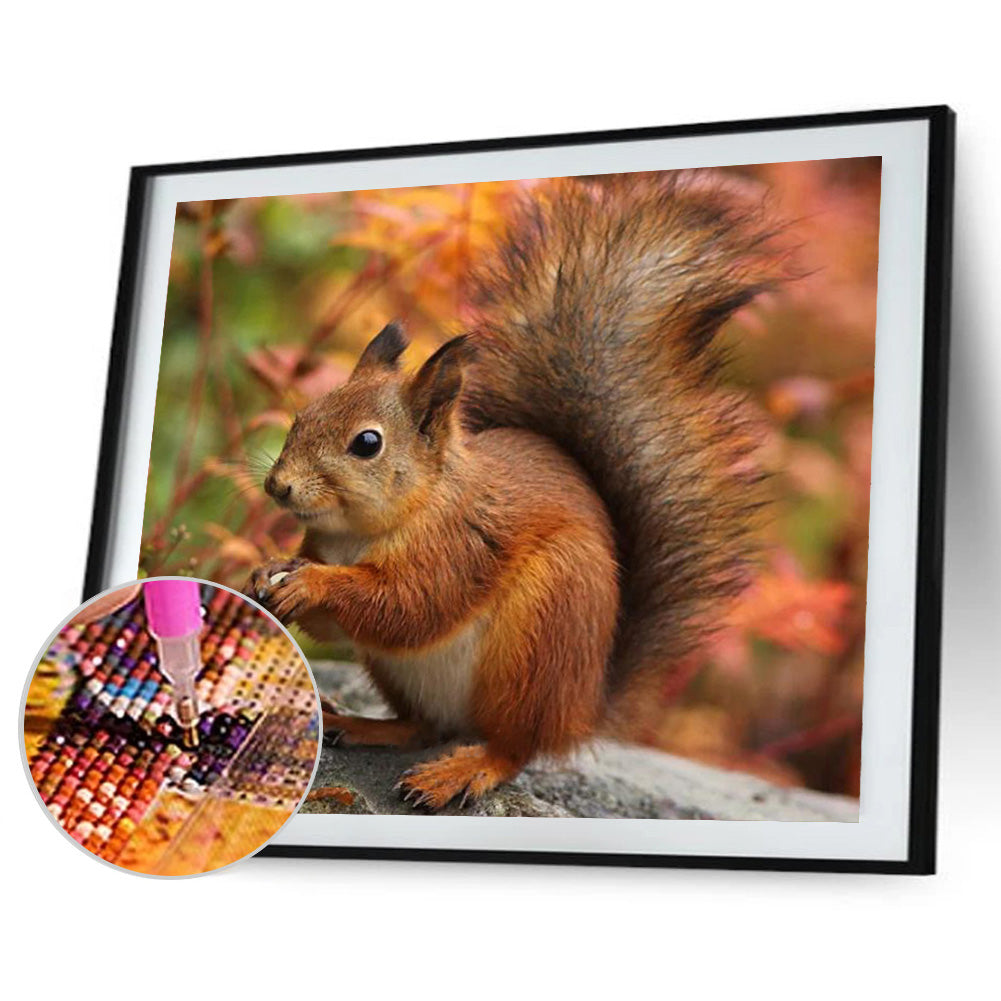 Squirrel - Full Round Drill Diamond Painting 40*30CM