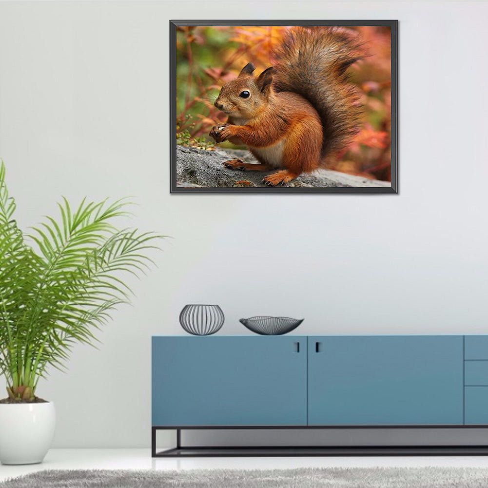 Squirrel - Full Round Drill Diamond Painting 40*30CM