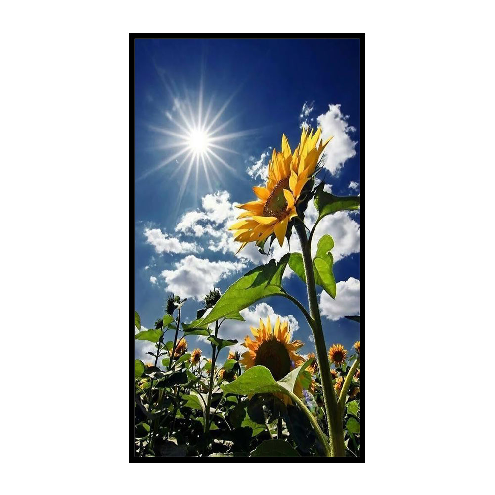 Sunflower - 11CT Counted Cross Stitch 35*65CM