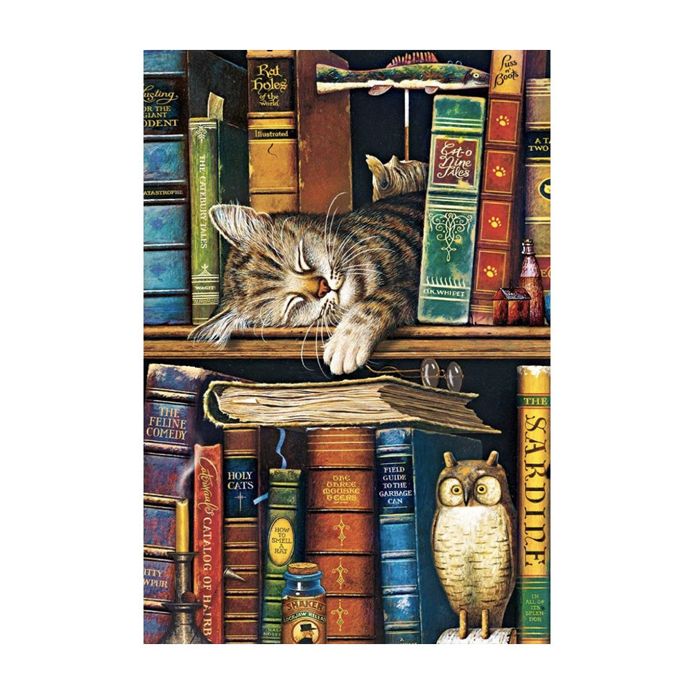 Cat On Bookshelf - 11CT Stamped Cross Stitch 40*60CM