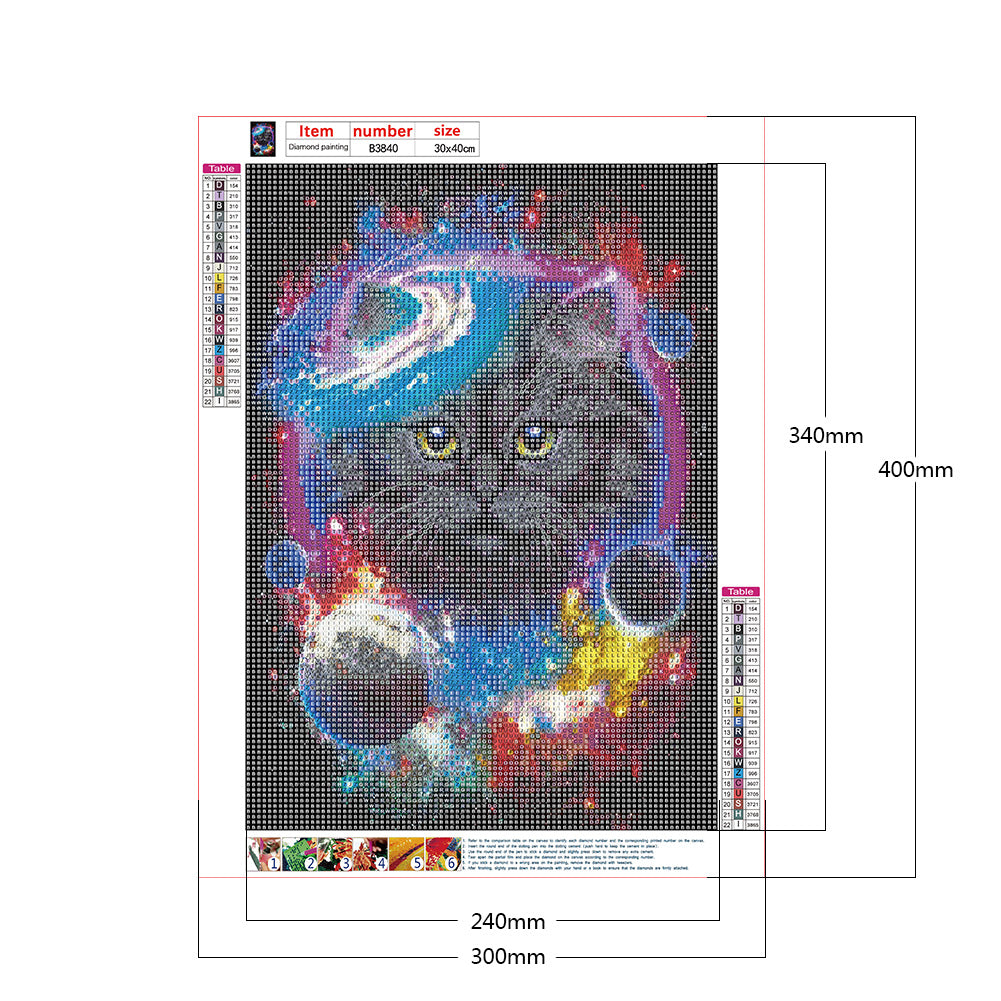 Black Cat - Full Round Drill Diamond Painting 30*40CM