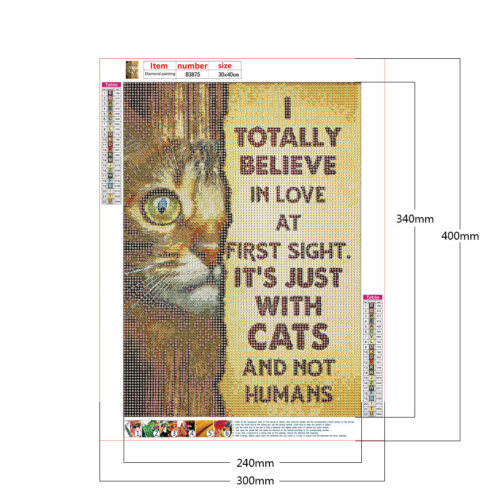 Cat English - Full Round Drill Diamond Painting 30*40CM