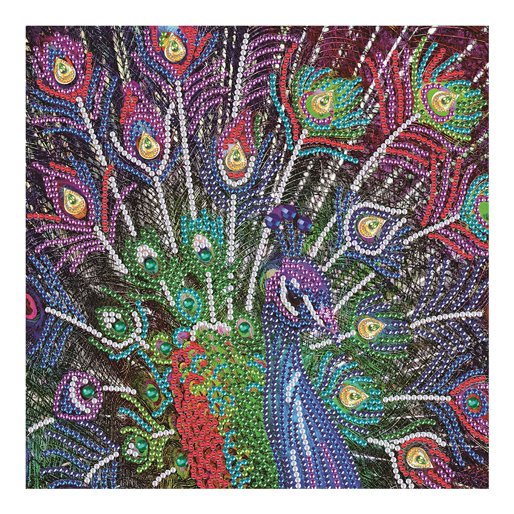 Peacock - Special Shaped Drill Diamond Paiting 30*30CM