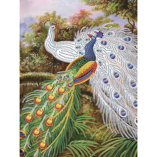 Peacock - Special Shaped Drill Diamond Paiting 30*40CM