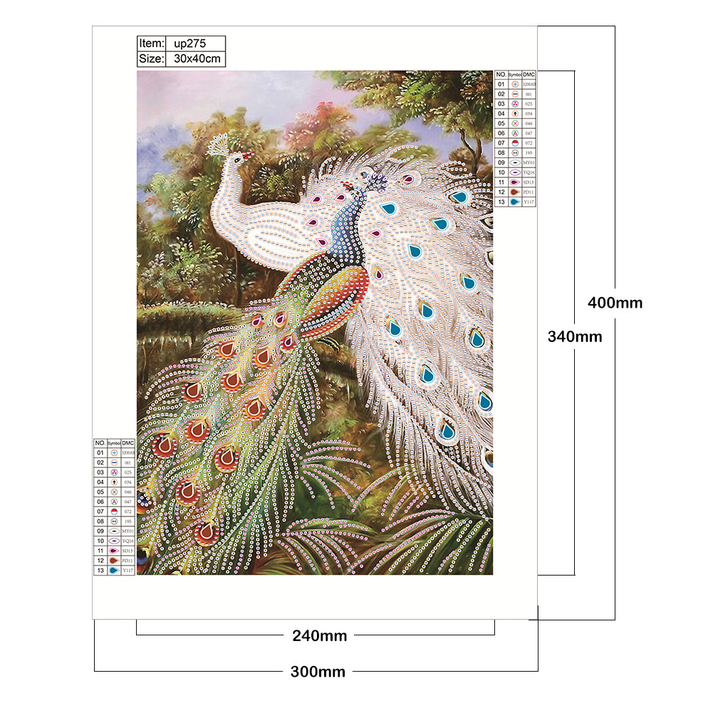 Peacock - Special Shaped Drill Diamond Paiting 30*40CM