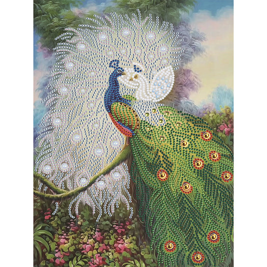 Peacock - Special Shaped Drill Diamond Paiting 30*40CM