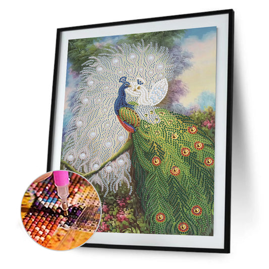 Peacock - Special Shaped Drill Diamond Paiting 30*40CM