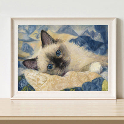 Cat - Full Round Drill Diamond Painting 40*30CM