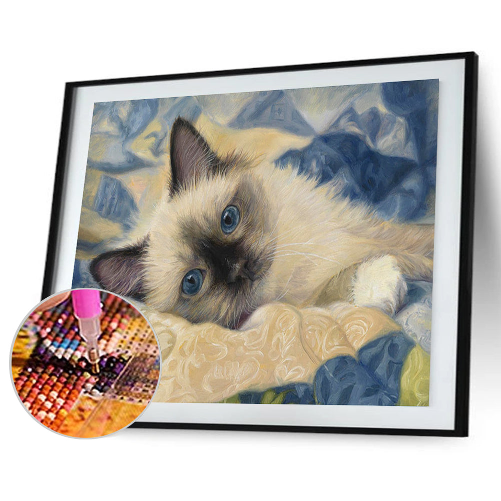 Cat - Full Round Drill Diamond Painting 40*30CM