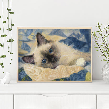 Cat - Full Round Drill Diamond Painting 40*30CM