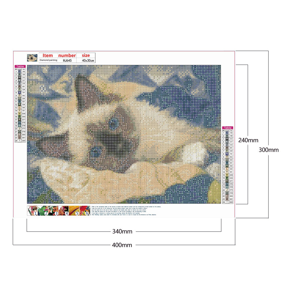 Cat - Full Round Drill Diamond Painting 40*30CM