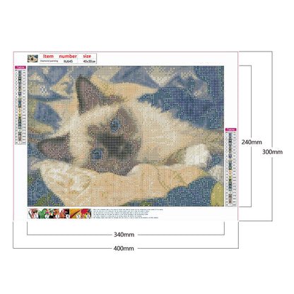 Cat - Full Round Drill Diamond Painting 40*30CM