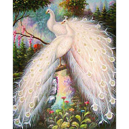 White Peacock - Full Square Drill Diamond Painting 50*60CM