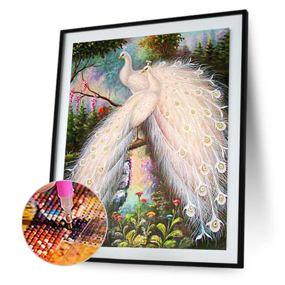 White Peacock - Full Square Drill Diamond Painting 50*60CM