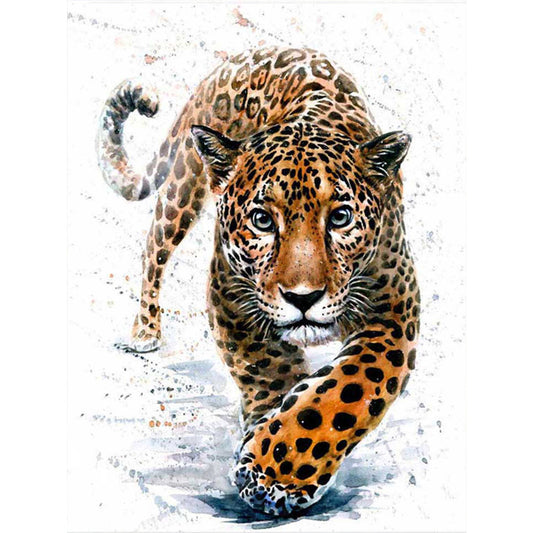 Lion - Full Square Drill Diamond Painting 40*50CM