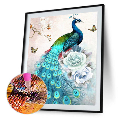 Peacock - Full Round Drill Diamond Painting 30*40CM