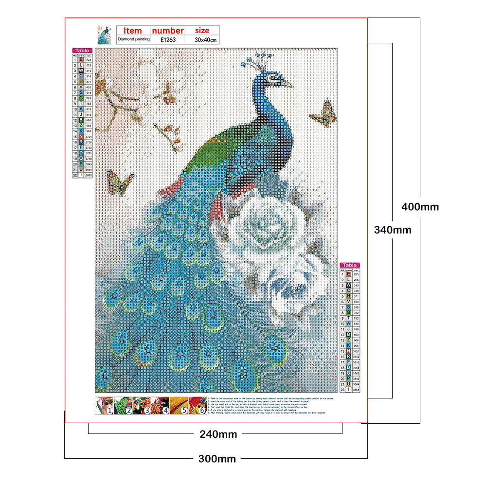 Peacock - Full Round Drill Diamond Painting 30*40CM