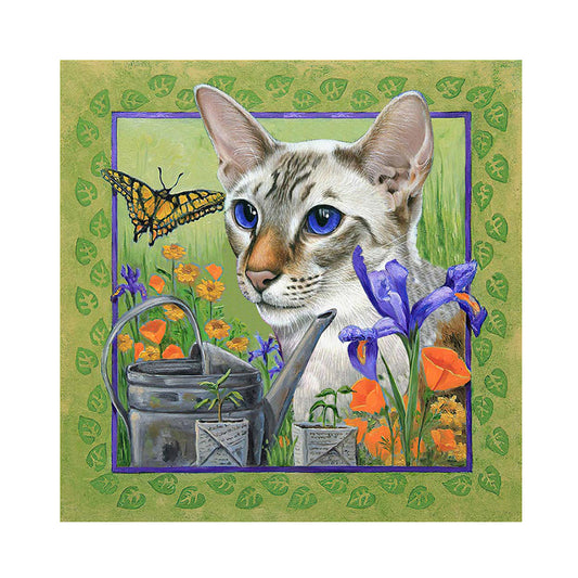 Cat - Full Round Drill Diamond Painting 30*30CM