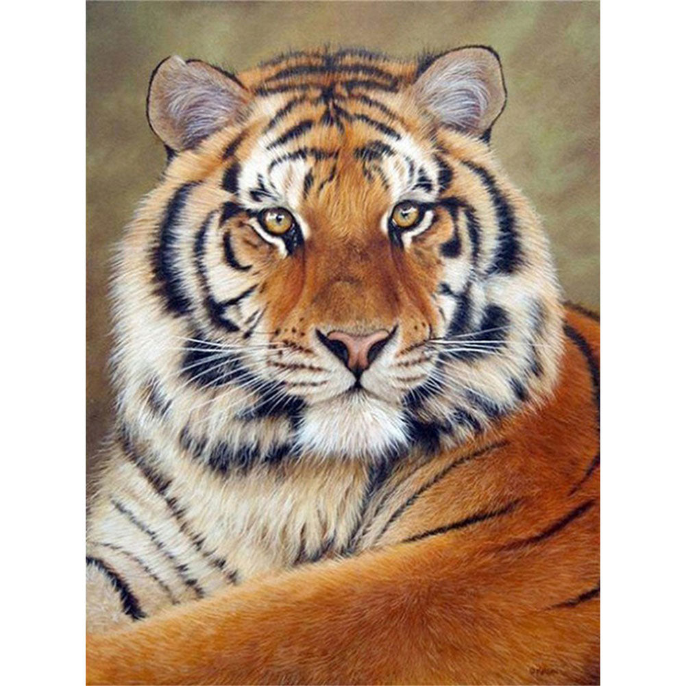 Tiger - Full Round Drill Diamond Painting 50*60CM