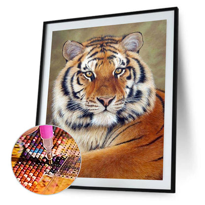 Tiger - Full Round Drill Diamond Painting 50*60CM