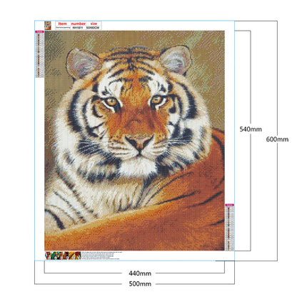 Tiger - Full Round Drill Diamond Painting 50*60CM