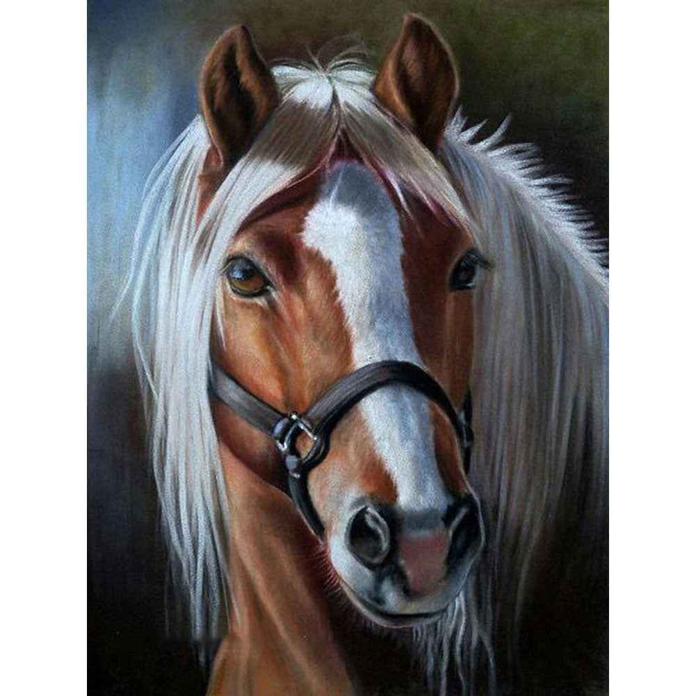 Horse - Full Round Drill Diamond Painting 50*60CM