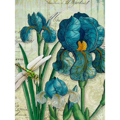 Iris - Full Round Drill Diamond Painting 30*40CM