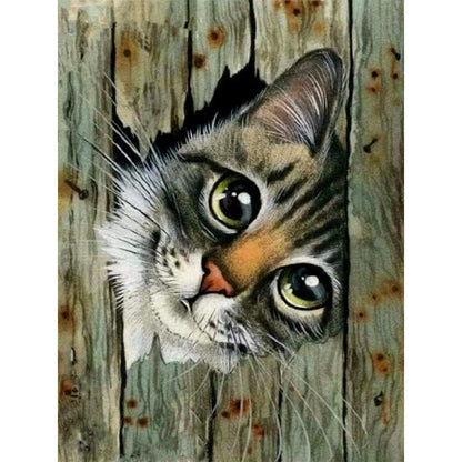 Cat - Full Round Drill Diamond Painting 30*40CM