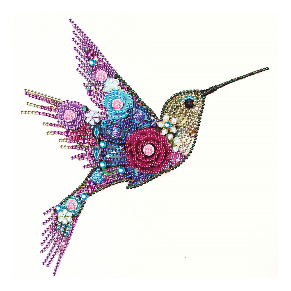 Hummingbird 30*30CM(Canvas) Special Shaped Drill Diamond Paiting