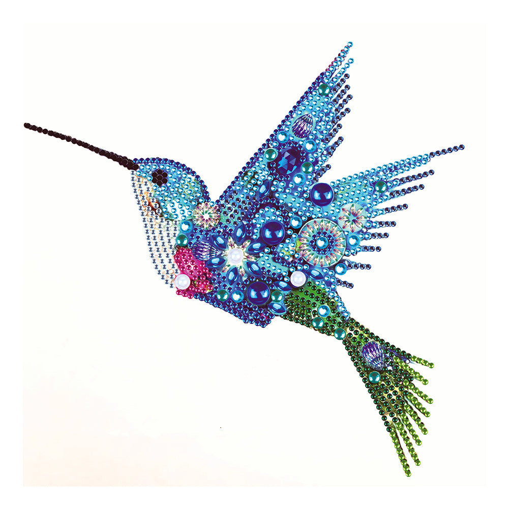 Hummingbird 30*30CM(Canvas) Special Shaped Drill Diamond Paiting