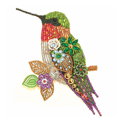 Hummingbird 30*30CM(Canvas) Special Shaped Drill Diamond Paiting