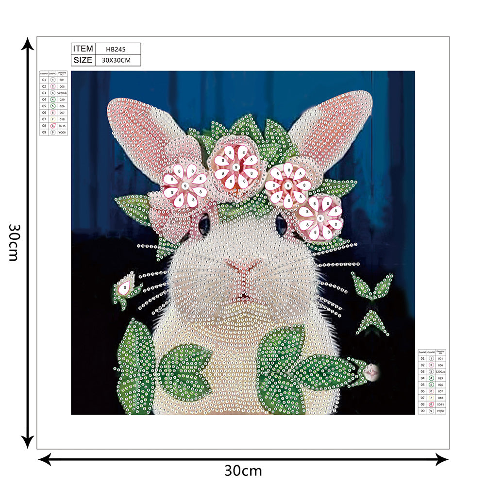 Rabbit 30*30CM(Canvas) Special Shaped Drill Diamond Paiting