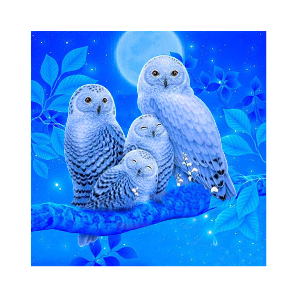 Owl 30*30CM(Canvas) Full Round Drill Diamond Painting