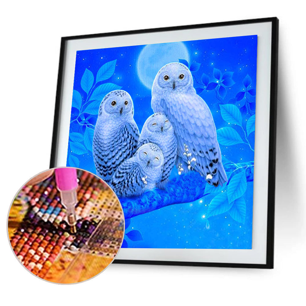 Owl 30*30CM(Canvas) Full Round Drill Diamond Painting