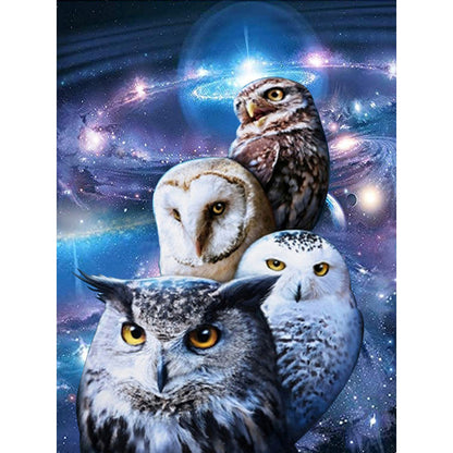 Owl 30*40CM(Canvas) Full Round Drill Diamond Painting