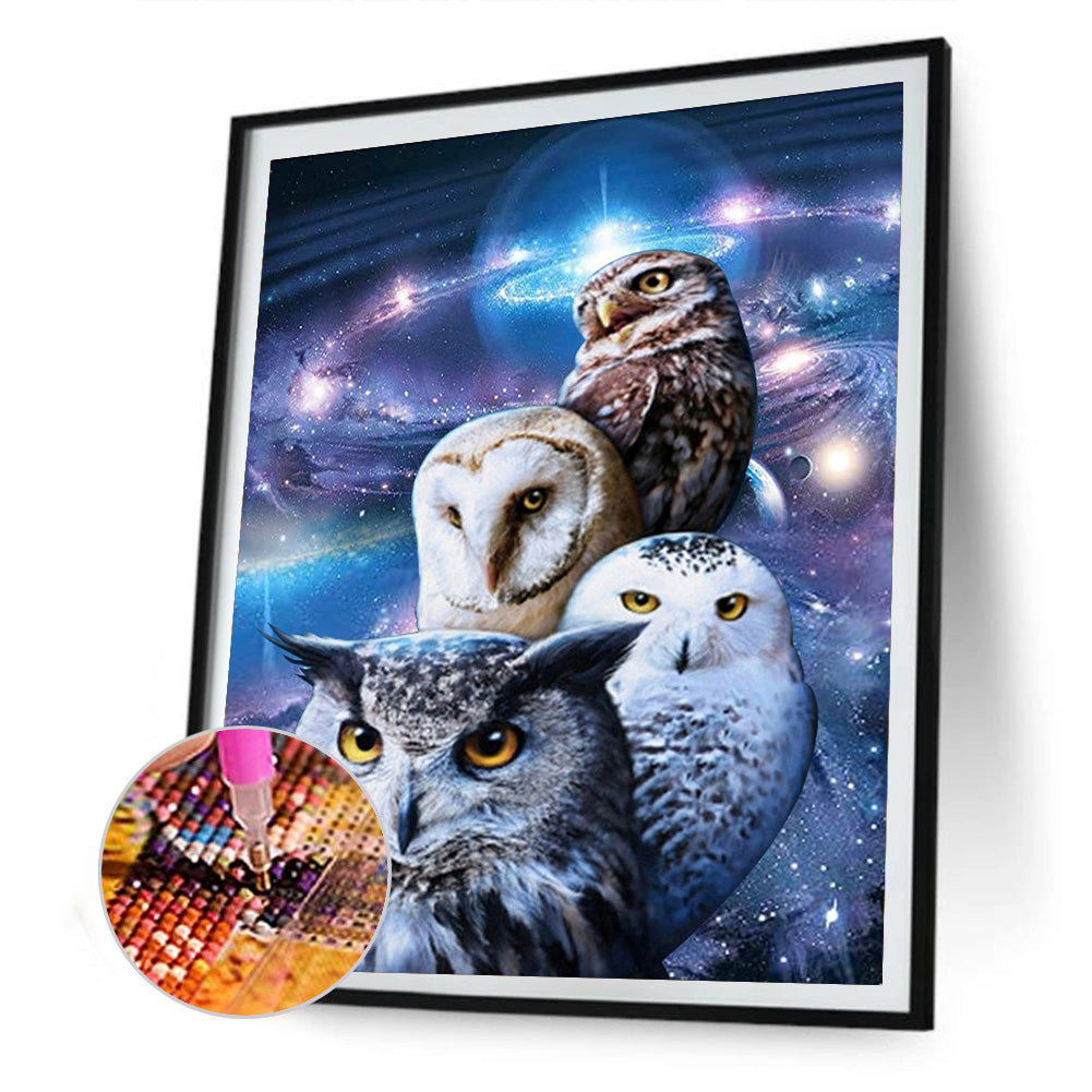 Owl 30*40CM(Canvas) Full Round Drill Diamond Painting