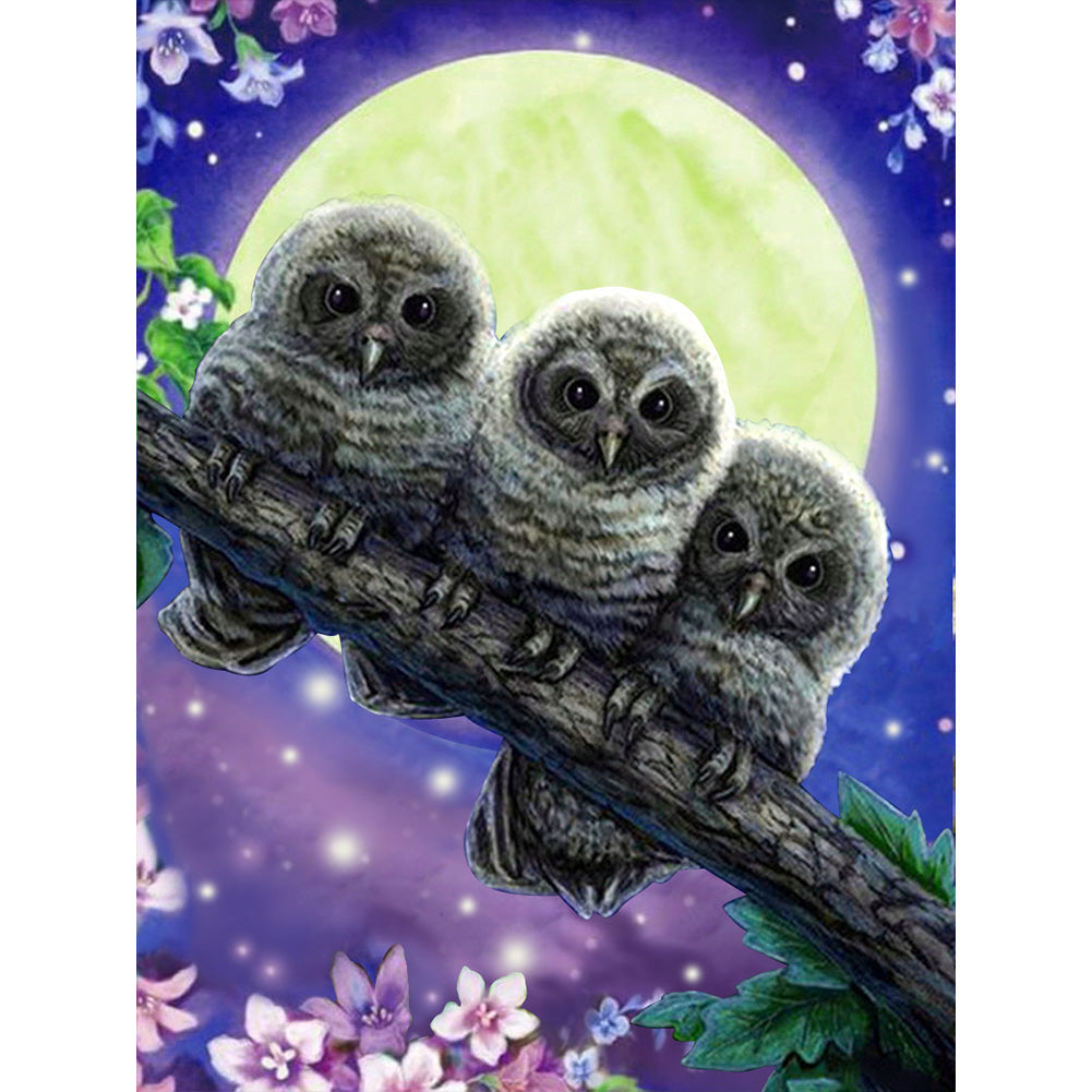 Owl 30*40CM(Canvas) Full Round Drill Diamond Painting