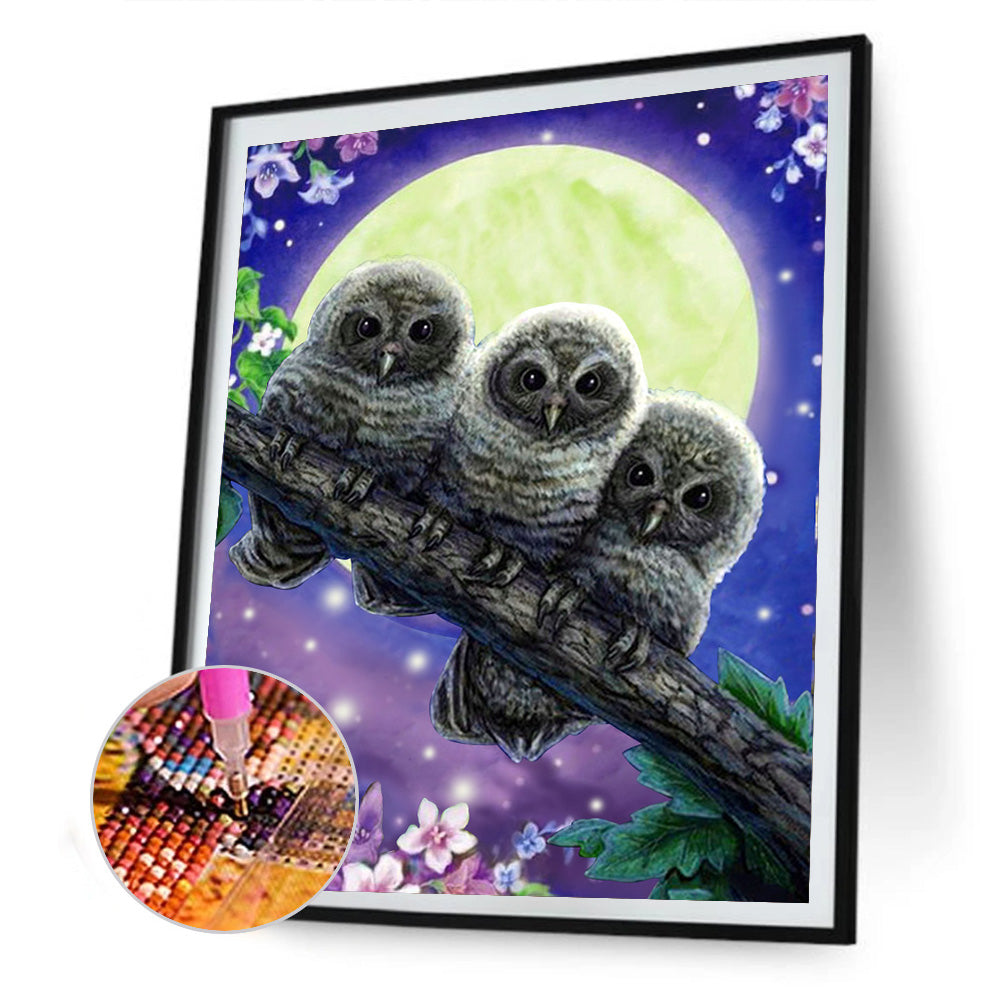 Owl 30*40CM(Canvas) Full Round Drill Diamond Painting