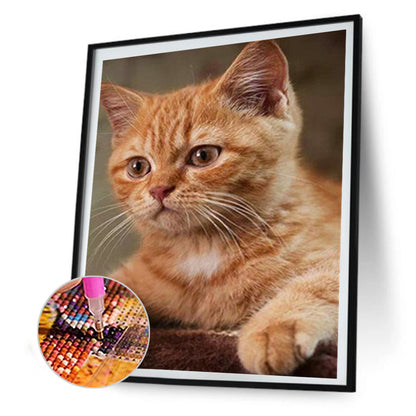 Cat 30*40CM(Canvas) Full Round Drill Diamond Painting