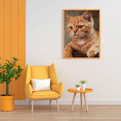 Cat 30*40CM(Canvas) Full Round Drill Diamond Painting