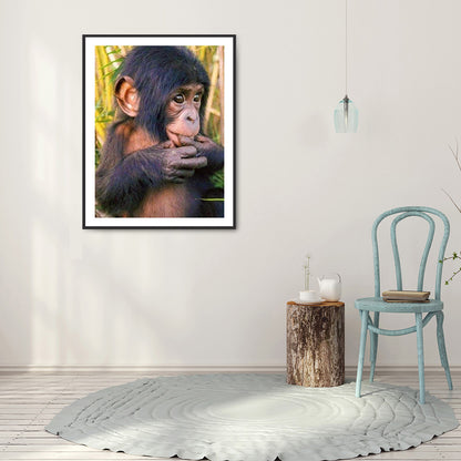 Chimpanzees 30*40CM(Canvas) Full Round Drill Diamond Painting