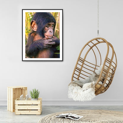 Chimpanzees 30*40CM(Canvas) Full Round Drill Diamond Painting