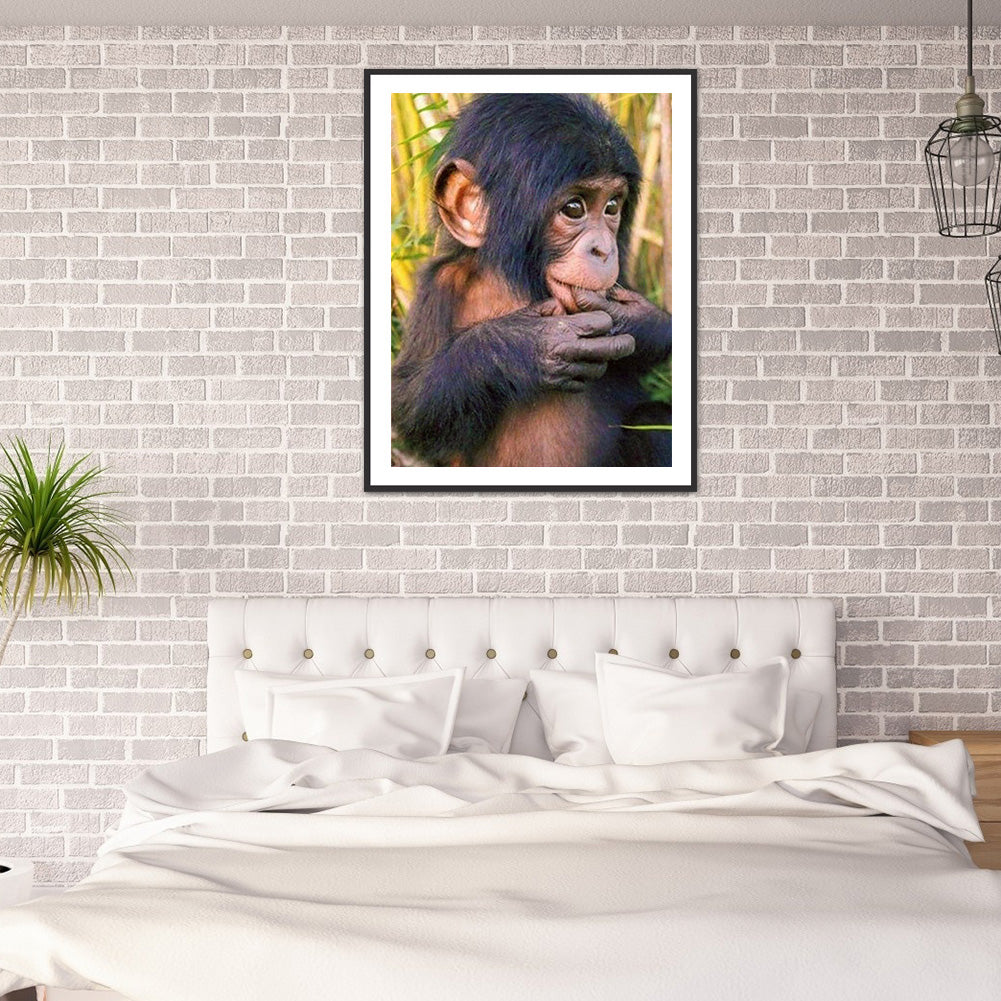 Chimpanzees 30*40CM(Canvas) Full Round Drill Diamond Painting