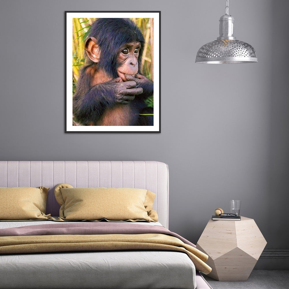 Chimpanzees 30*40CM(Canvas) Full Round Drill Diamond Painting