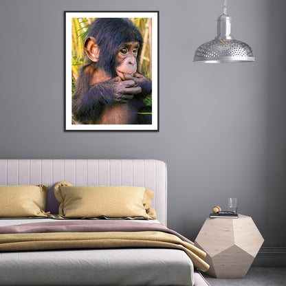 Chimpanzees 30*40CM(Canvas) Full Round Drill Diamond Painting